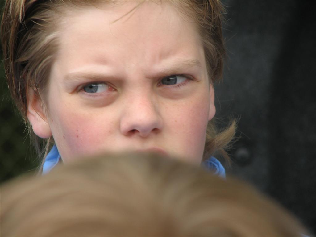 IMG_9780 (Large).jpg